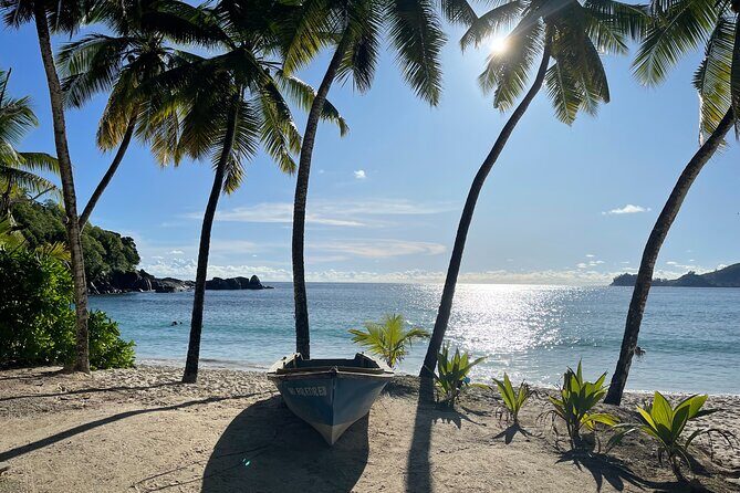 Beautiful island tour 5-6 hours | Mahé, Seychelles | Private Tour - Getting started in Mahé: pickup, vehicle comfort, and pacing