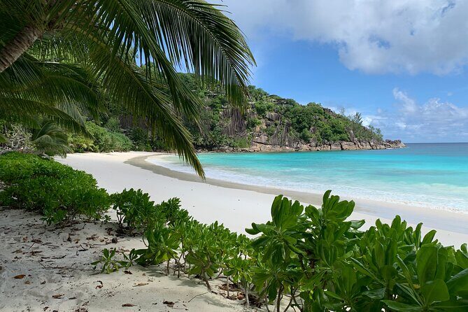 Beautiful island tour 5-6 hours | Mahé, Seychelles | Private Tour - Victoria in quick bites: landmarks, religion, and island scale