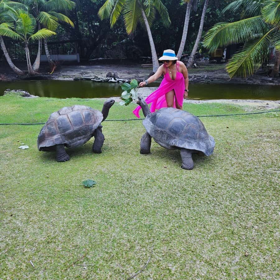 "Curieuse and St-Pierre Island Adventure: with Creole, BBQ - Curieuse Island: Tortoises, Doctor’s House, and Mangrove Footing