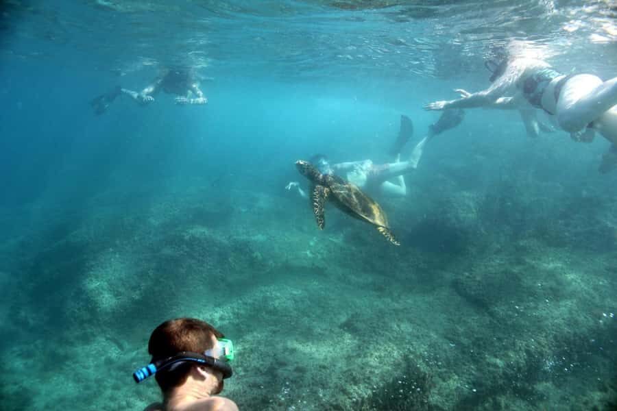 Curieuse Guided Tour, St Pierre, BBQ & 2 Snorkel Stops - Getting from Praslin to Curieuse: the day starts on your schedule