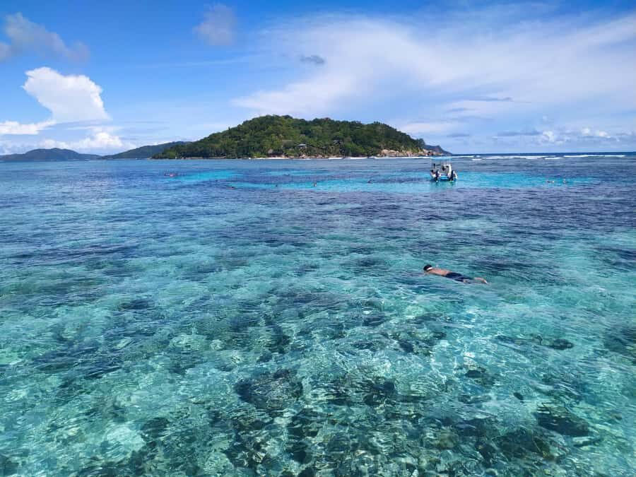 Curieuse Guided Tour, St Pierre, BBQ & 2 Snorkel Stops - Creole BBQ with local beer: the island lunch that actually fuels you
