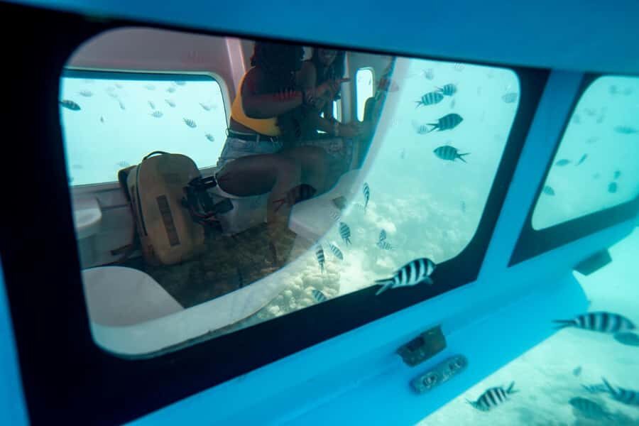 Eden Island: Semi-Submarine Tour in St. Anne Marine Park - Key highlights to know before you go