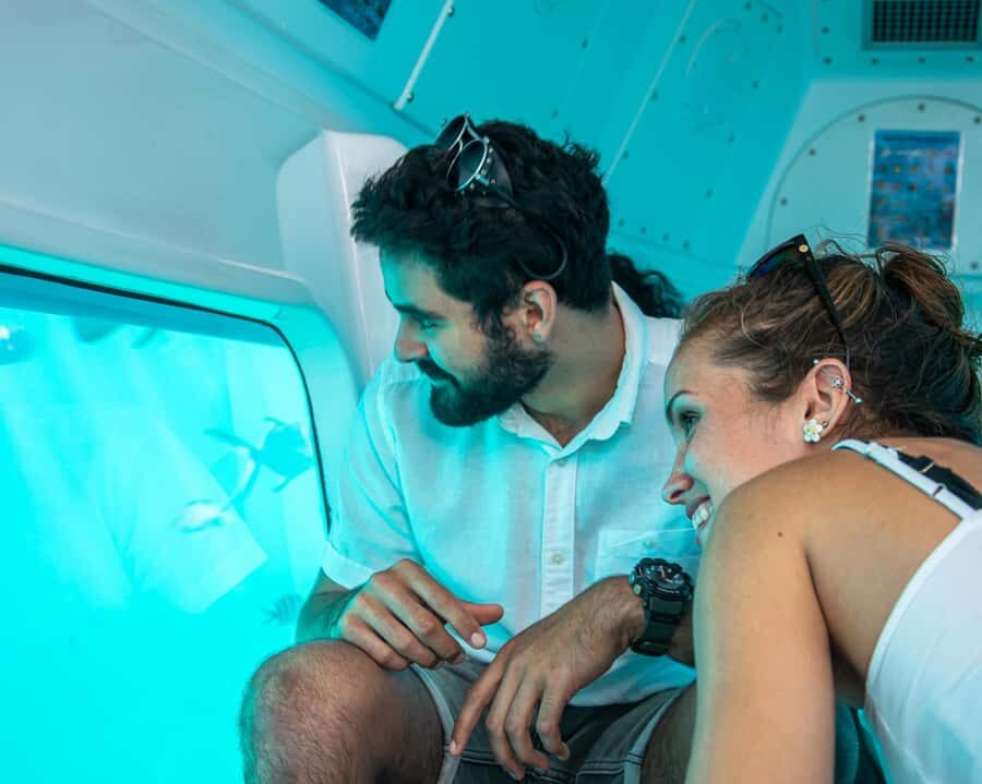 Eden Island: Semi-Submarine Tour in St. Anne Marine Park - Wildlife Odds: Corals, Turtles, Dolphins, and That Fish Everybody Notices