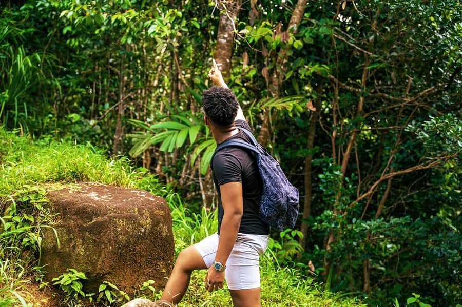 From Mahe: Guided Nature Trail Walk to Morne Blanc - Tea-to-Forest Transition: How You’ll Notice the Island Changing