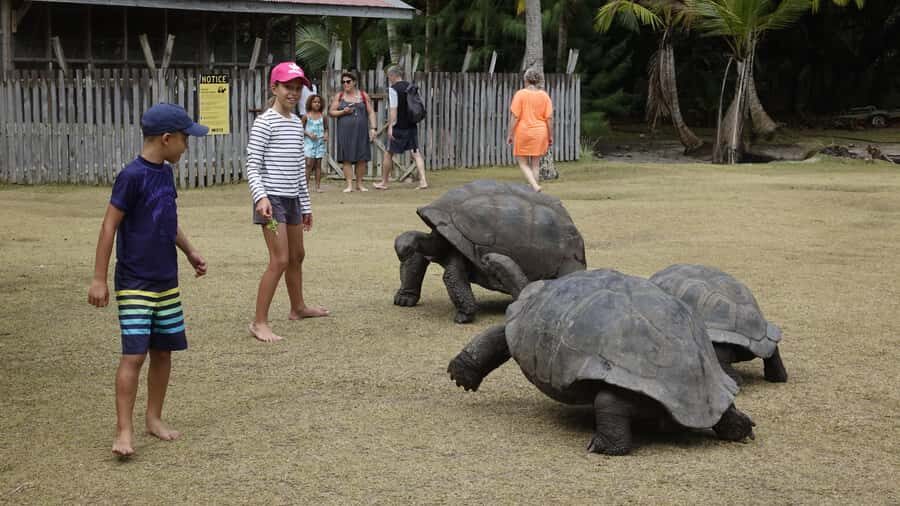 From Praslin: Cousin, Curieuse & St Pierre Islands Day Tour - St Pierre snorkeling: tiny island, big marine life, and the gear question