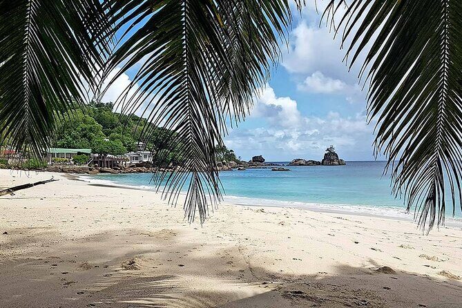 Full day (5-6 hours) island tour on Mahé with pick-up - Pickup, Vehicle Comfort, and Group Size That Matter