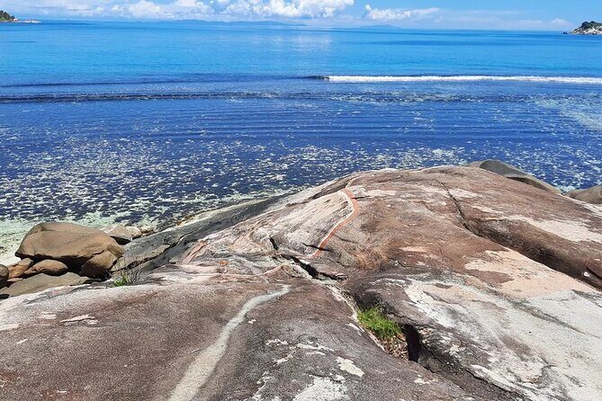 Full Day Reef Safari at St Anne Marine Park Seychelles - Sainte-Anne Marine Park’s Providence waters: coral gardens and seagrass you can actually spot