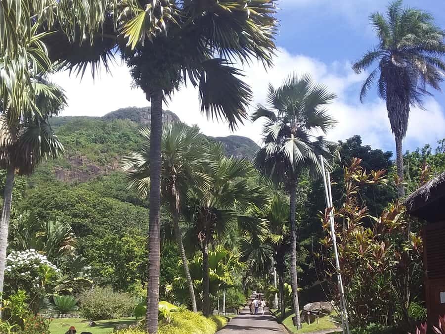 Mahé: Customizable Private Tour of Island with Driver - Logistics That Actually Matter (Pickup, Stops, Comfort)