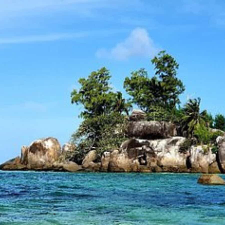 Mahe Discovery Bus Tour - Getting Picked Up Around Grand’Anse Mahé (And Why Timing Matters)