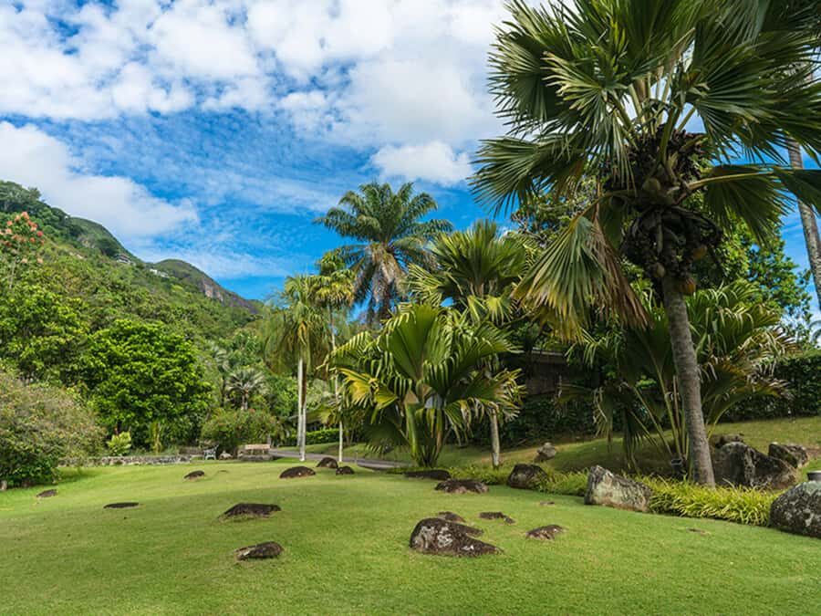 Mahé Island: Island Highlights Guided Day Trip with Lunch - Victoria Market and the capital feel of Mahé