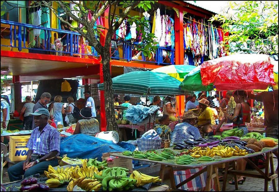 Mahé Island: Island Highlights Guided Day Trip with Lunch - Le Jardin du Roi Spice Garden: indigenous fruit trees and real spice focus