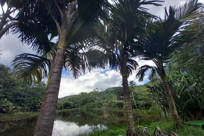Mahe island Seychelles , unforgettable & adventurous tour - The value math: $200 per group (up to 3) for a 4–6 hour day