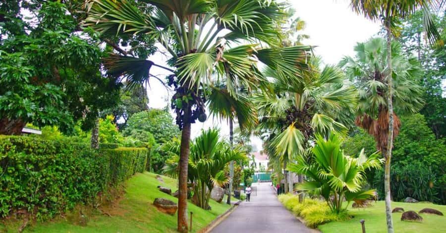 Mahé: Private Customizable Full-Day Tour with Hotel Pickup - Seychelles National Botanical Gardens: Coco de Mer and Endemic Birds
