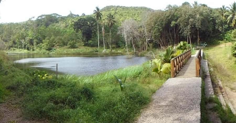 Mahé: Private Customizable Island Tour with Hotel Transfer - Should You Book This Private Island Tour with CAT Tours Sey?