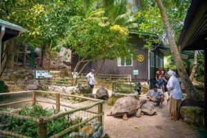 Mahé: Saint-Anne Marine Park and Moyenne Island Cruise - Pickup in Mahé: where to be and how not to lose time