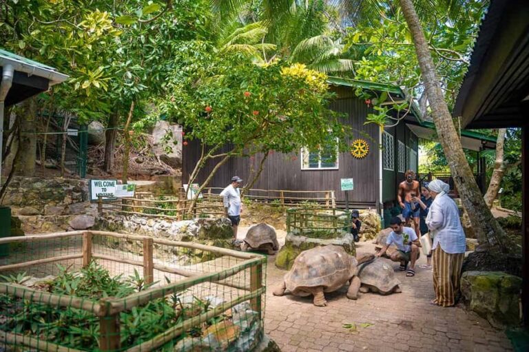 Mahé: Saint-Anne Marine Park and Moyenne Island Cruise - Pickup in Mahé: where to be and how not to lose time
