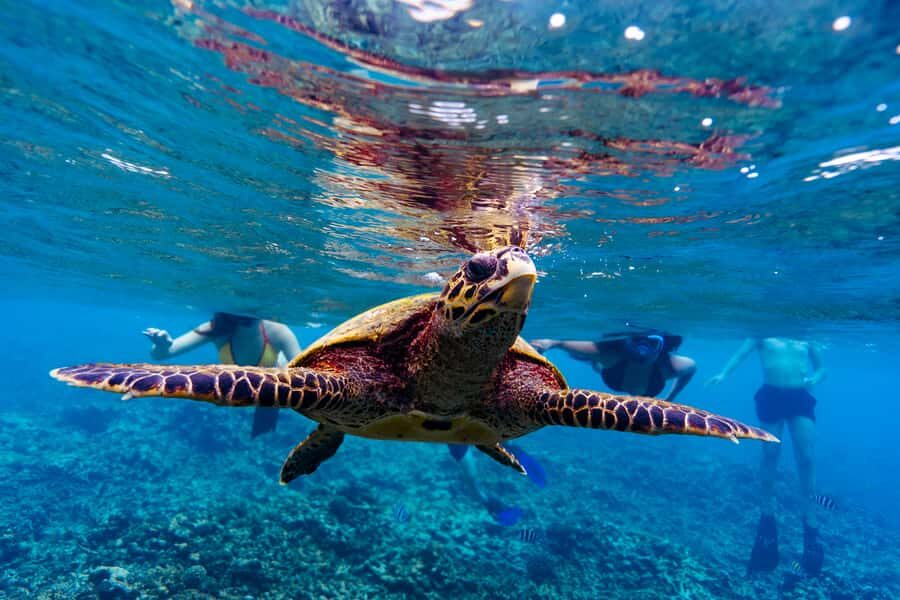 Mahé: Saint-Anne Marine Park and Moyenne Island Cruise - Ste Anne Marine Park island history: French-era roots and today’s conservation
