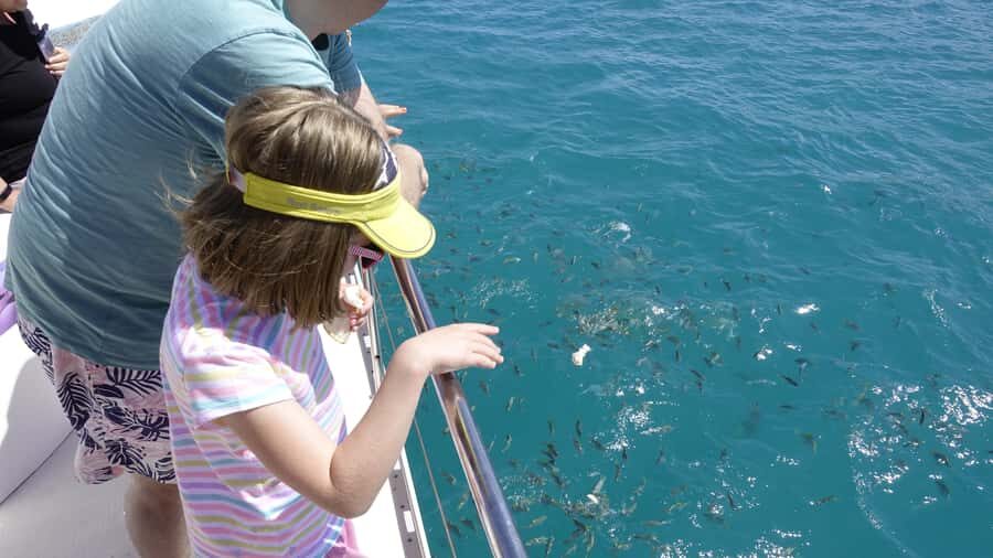 Mahe: St.Anne Marine National Park Reef Safari with Lunch - Key Highlights Worth Booking For