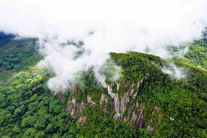 Nature trail - Morne Blanc (Mahe) - A private guide turns the hike into a real learning moment