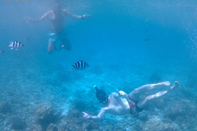 Praslin Curieuse, St Pierre &AnseLafarine fullday trip CreoleBBQ - Meeting at Baie Ste Anne: the start that keeps things easy