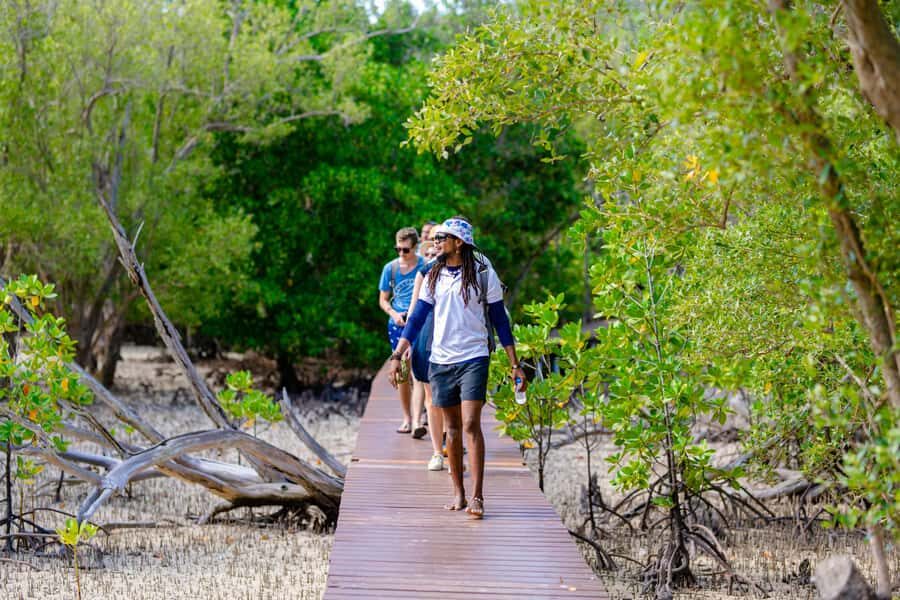 Praslin: Curieuse & St. Pierre Full-Day Boat Trip with Lunch - Price and value: what you’re really paying for at $93