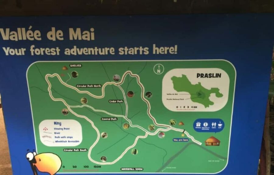 Praslin : Tour (Shared) - Vallee de Mai Coco de Mer Hike (1–2 Hours) and What You’ll See