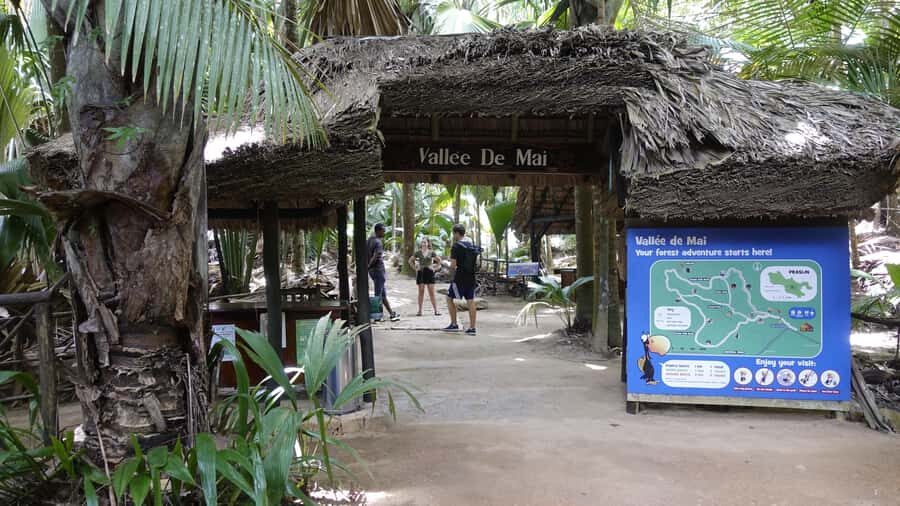Praslin: Vallée de Mai and Anse Lazio Beach Full-day Tour - From your hotel to the jungle: how the day starts on Praslin