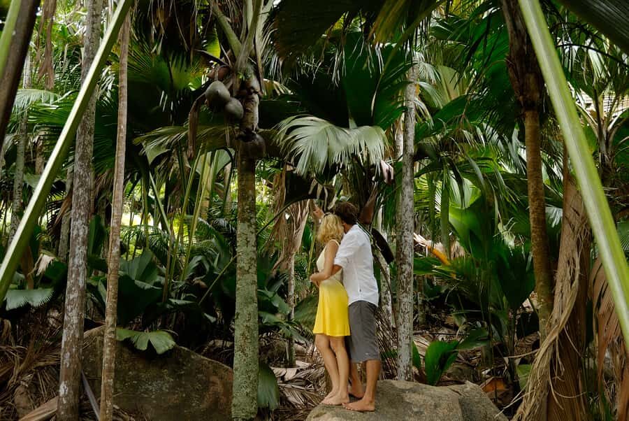 Praslin: Vallée de Mai and Anse Lazio Beach Full-day Tour - Anse Lazio Beach afternoon: why this stop feels like a reward