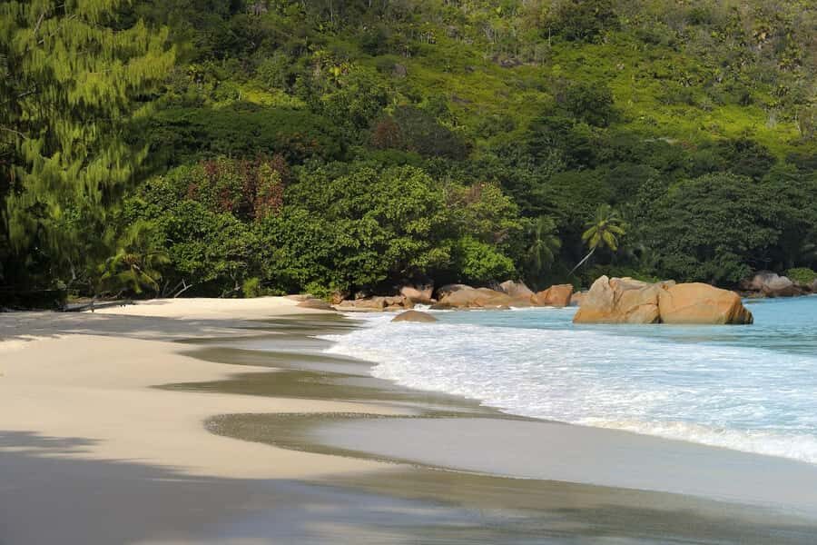 Praslin: Vallée de Mai and Anse Lazio Beach Full-day Tour - Should you book the Vallée de Mai and Anse Lazio full-day tour?