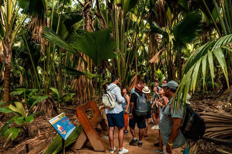 Praslin: Vallee de Mai Guided Hike with Transfer - Two hours in the rainforest: what the guided walk feels like