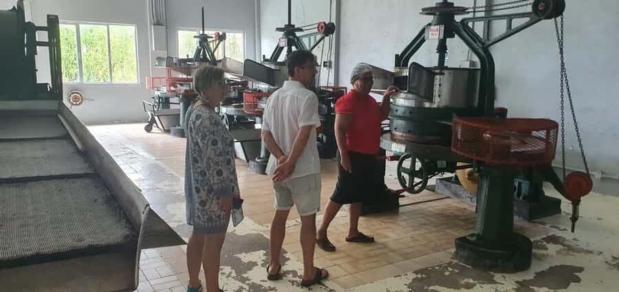 Private Customized Tour: Explore Mahe beyond the ordinary - Key highlights you’ll feel right away