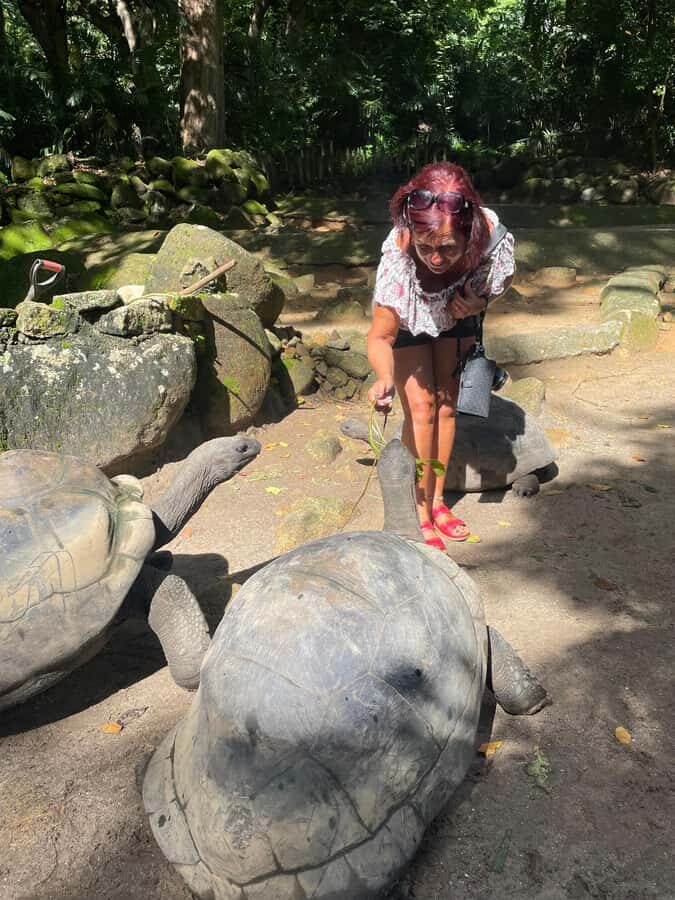 Private Customized Tour: Explore Mahe beyond the ordinary - Optional add-ons that can turn your day from good to personal