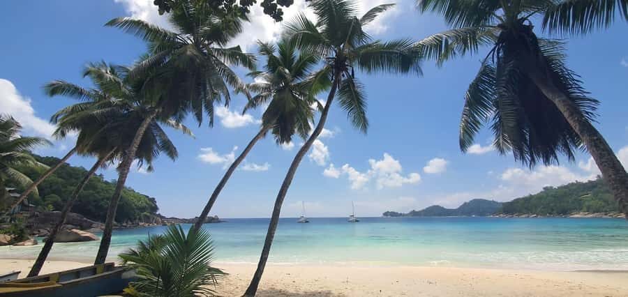 Private Customized Tour: Explore Mahe beyond the ordinary - Victoria: small capital, big context (and quick souvenir time)
