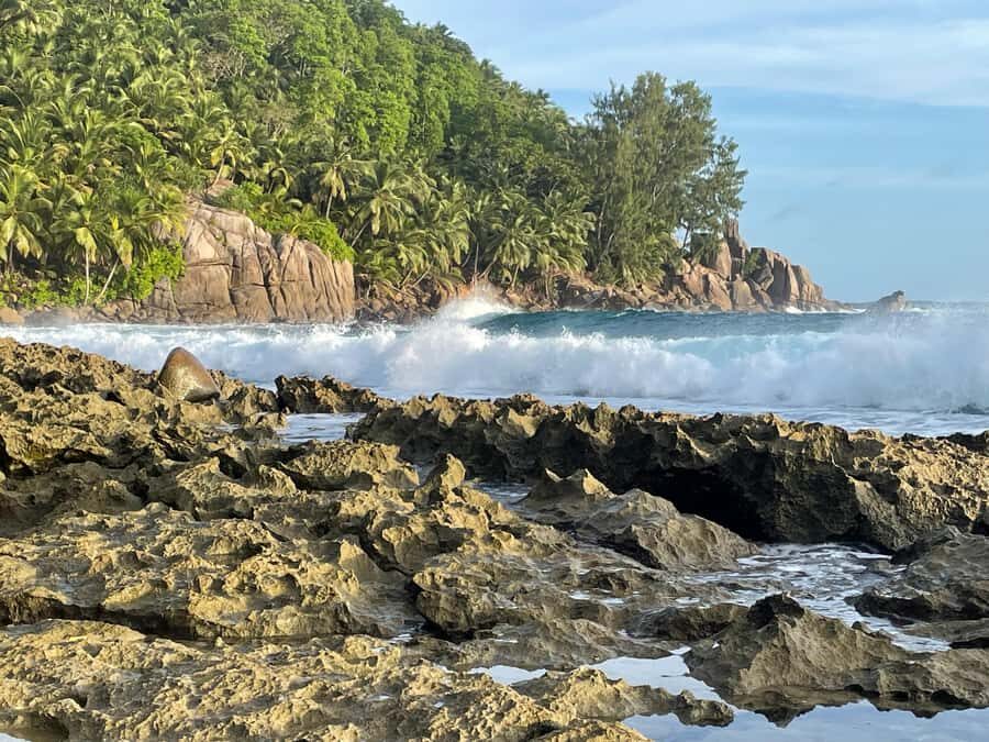 Private Customized Tour: Explore Mahe beyond the ordinary - Seychelles National Botanical Garden: Coco de Mer, giant tortoises, and a time capsule