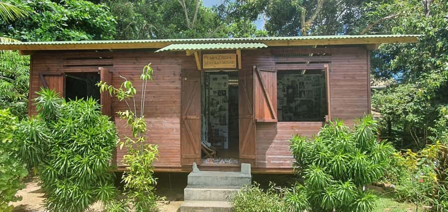 Private Customized Tour: Explore Mahe beyond the ordinary - Anse Intendance: the beach reset you’ll want after gardens and history