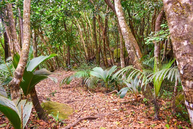 Private Full day Mahé island tour (1-2 persons) - Food and lunch: what to do since lunch is not included