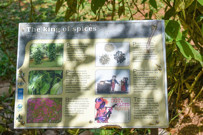 Private Half Day Mahe Island Tour (1-5 persons) - Seychelles National Botanical Gardens: endemic plants and giant tortoises