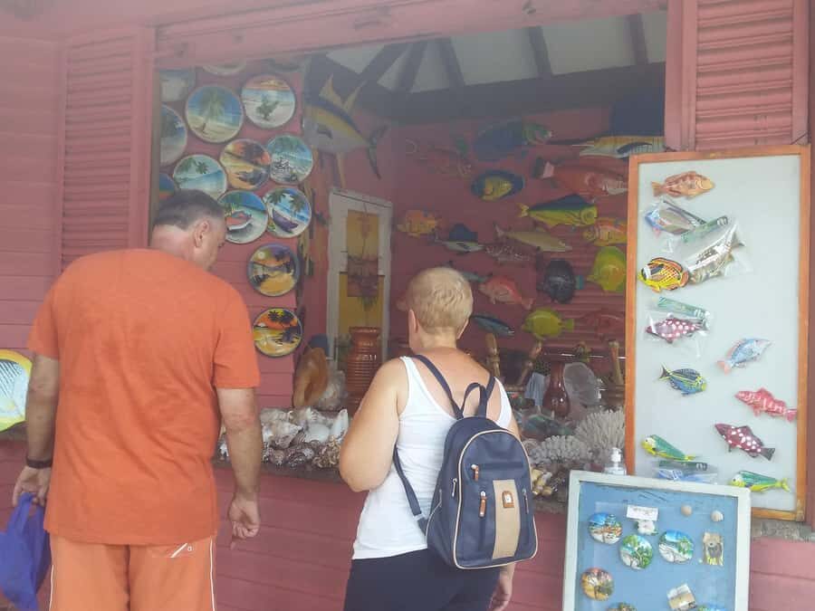 Private half day tour with free rum tasting - Pickup around Mahé: the big win for time and sanity