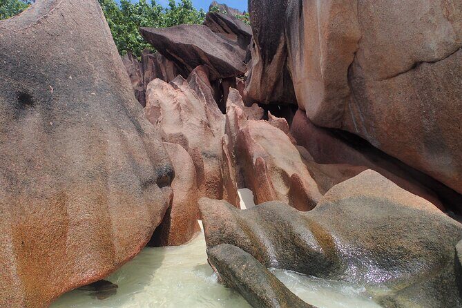 Private Seychelles Islands Tour by Boat with snacks & drinks - Flexibility with Jacques and Mathys: why private guides change everything