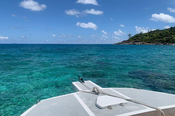 Reef Safari - Snorkeling, Fish Feeding & Lunch (Shared Day Trip) - Pickup and timing: avoiding the early-day stress