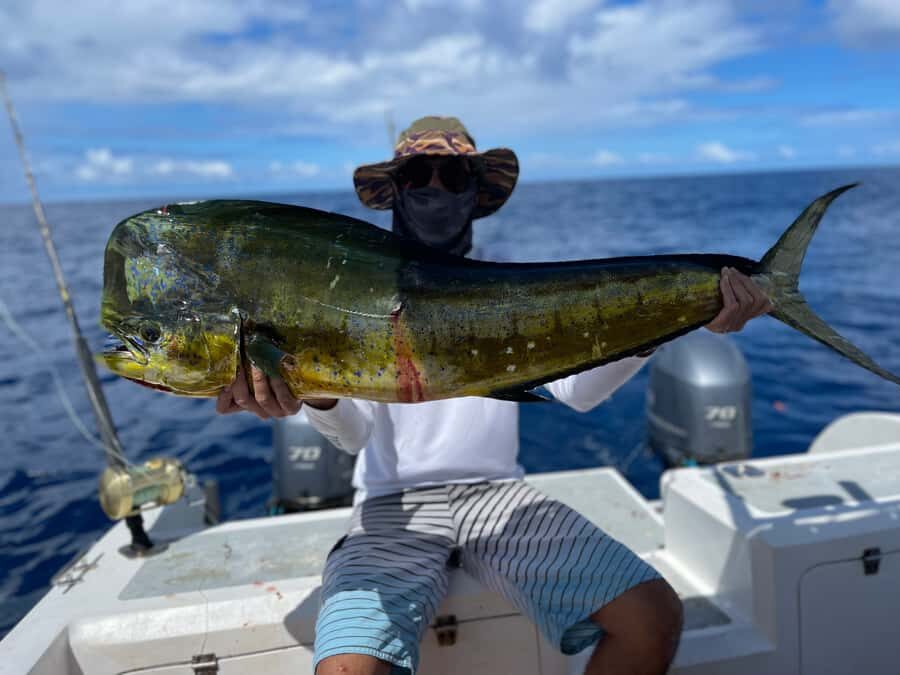 Seychelles: Guided Fishing Trip with Pickup and Equipment - Pickup and Time on the Water: How 4–9 Hours Fits Your Day