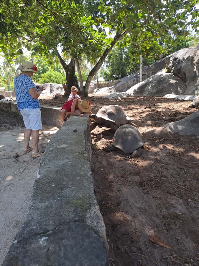 St. Anne Marine Park, Moyenne & Cerf Island Tour with Lunch - Price and logistics: what your $92 really buys