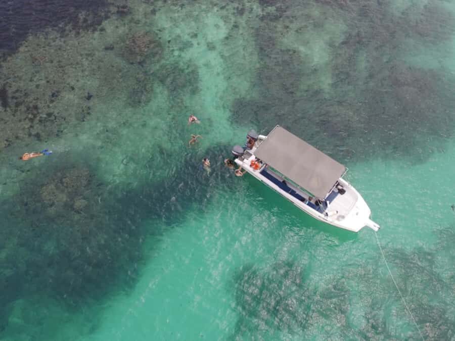 St. Anne Marine Park, Moyenne & Cerf Island Tour with Lunch - Glass-bottom viewing and fish feeding: what you’ll actually see