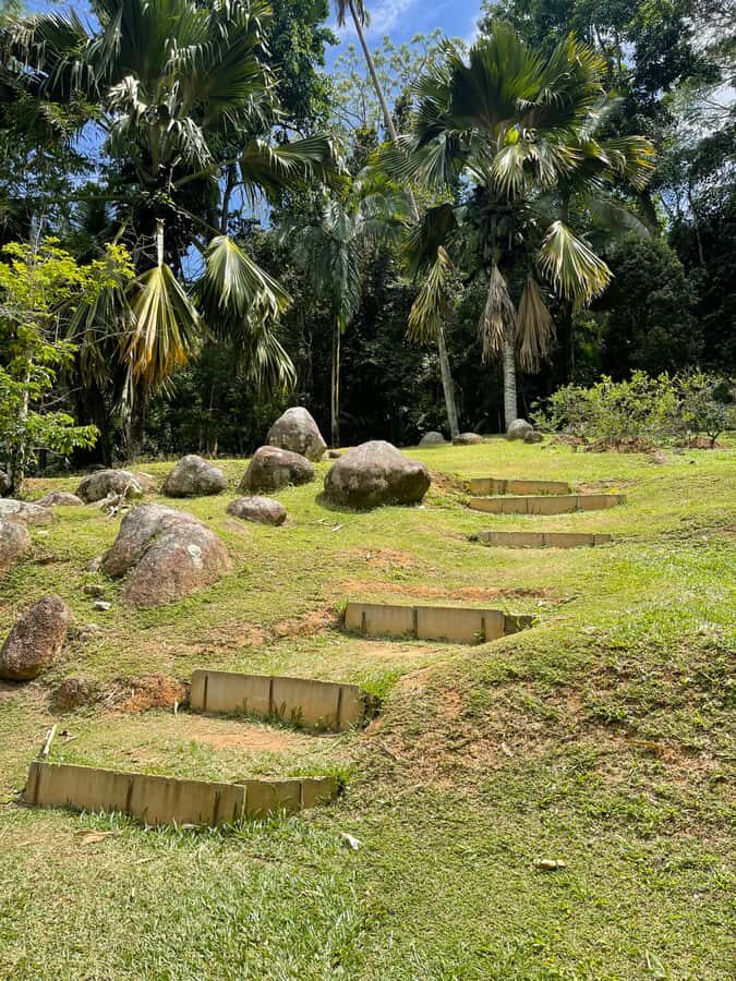 Victoria: Seychelles Mahe Island Tour - The driving day: how the mountains, flora, and viewpoints actually feel