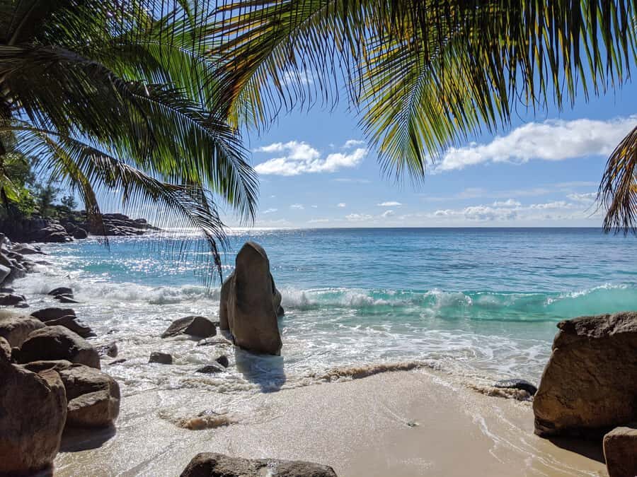Victoria: Seychelles Mahe Island Tour - A driver-guide who makes the island make sense