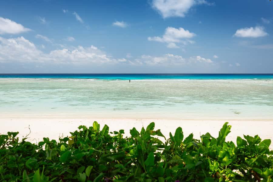 Victoria: Seychelles Mahe Island Tour - Who should book this tour on Mahe (and who might skip it)