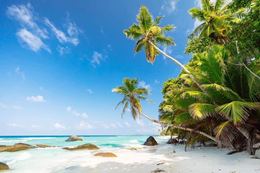 Victoria: Seychelles Mahe Island Tour - Pickup, timing, and the easy start from Grand’Anse and beyond